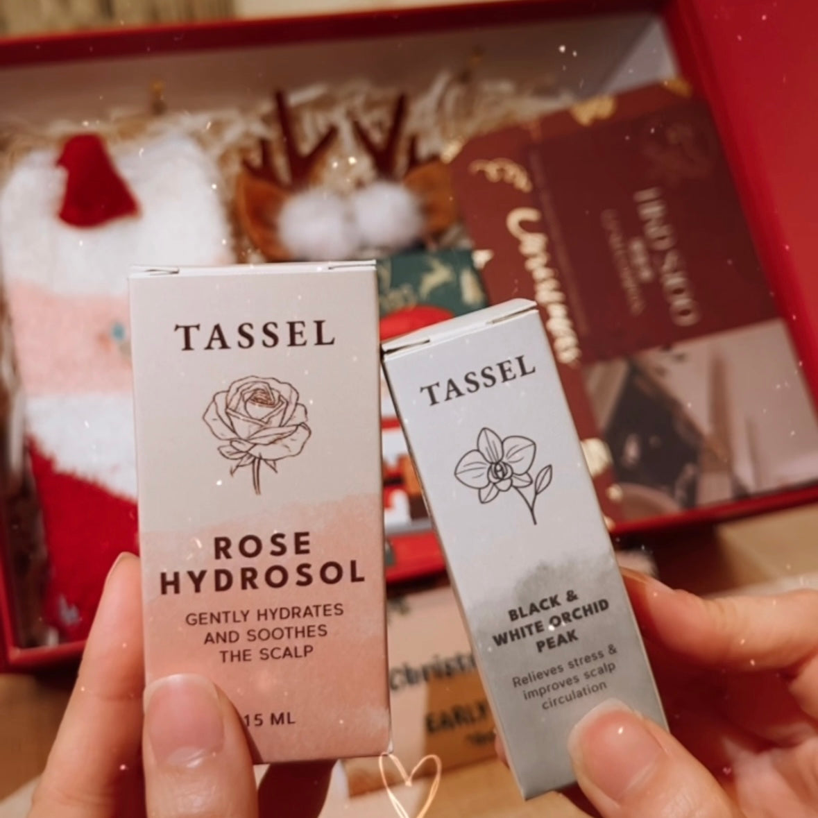 Tassel 2025 Christmas Set